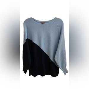 Vince Camuto Blue Round Neck Color Block Dolman Sleeve Sweater Small NWT!